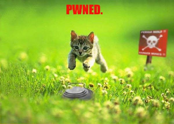 pwned_kitty5B15D.jpg
