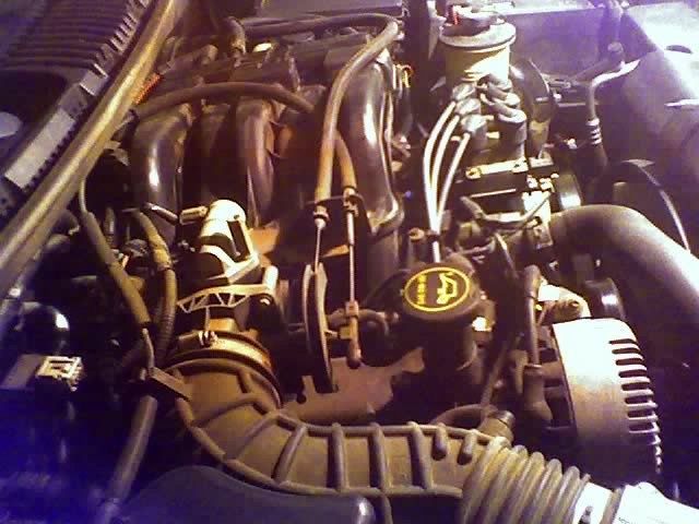 (2002 Explorer XLT 4.0, non-flex-fuel.) Here's a pic of the engine, 