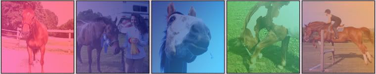 Photo Sharing and Video Hosting at Photobucket
