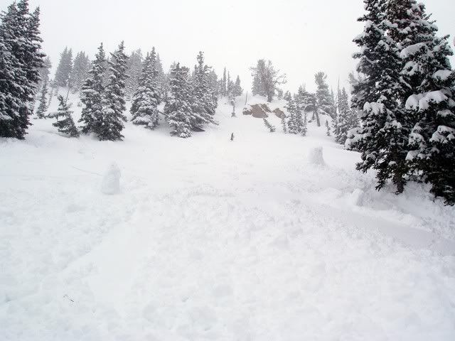 ec024.jpg