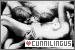 Cunnilingus