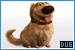 Up: Dug