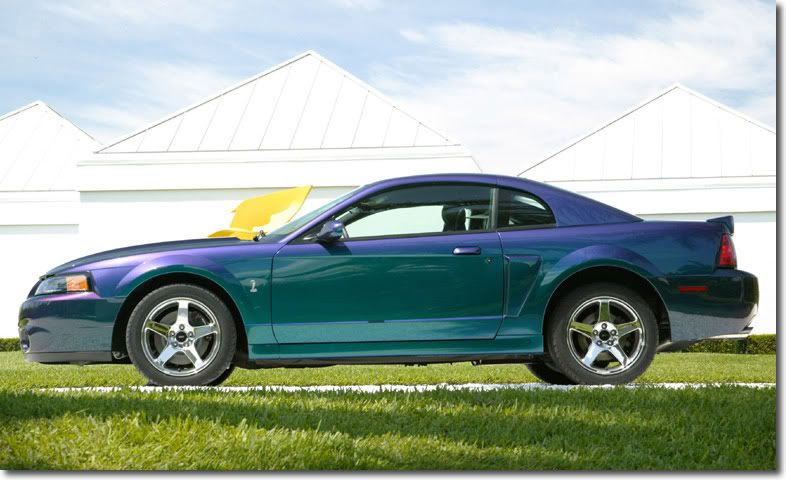 2004 Ford Svt Mustang Cobra Mystichrome. The 2004 Cobras came in