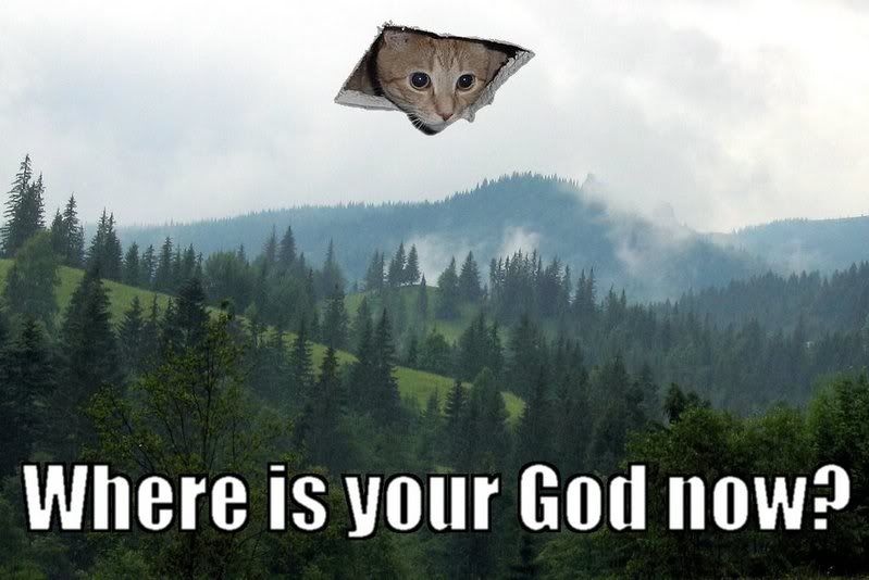 catgod.jpg