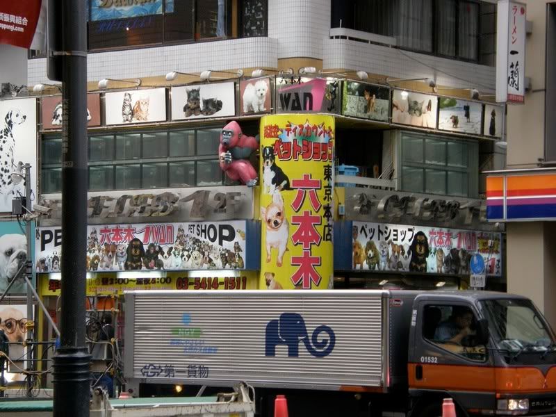 Photo Sharing and Video Hosting at Photobucket