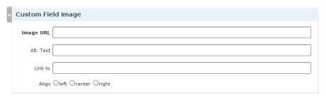 Custom Field Images management box