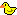 borladuck.gif