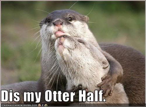 funny-pictures-otter-has-an-other-h.jpg