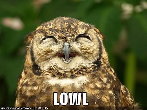 funny-pictures-this-owl-laughs-out-.jpg