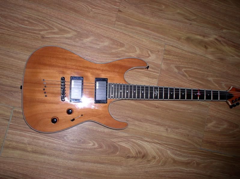 NGDCraigslist Douglas Score Electric Guitars Harmony Central