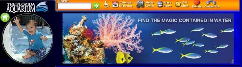 the florida aquarium tampa
