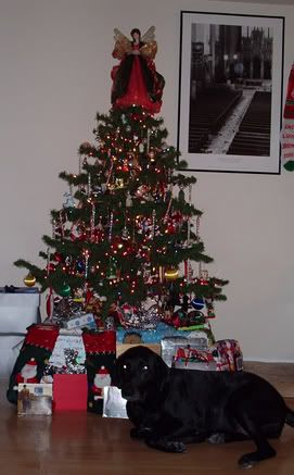Image hosted by Photobucket.com