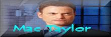 MacTaylorbanner2.jpg