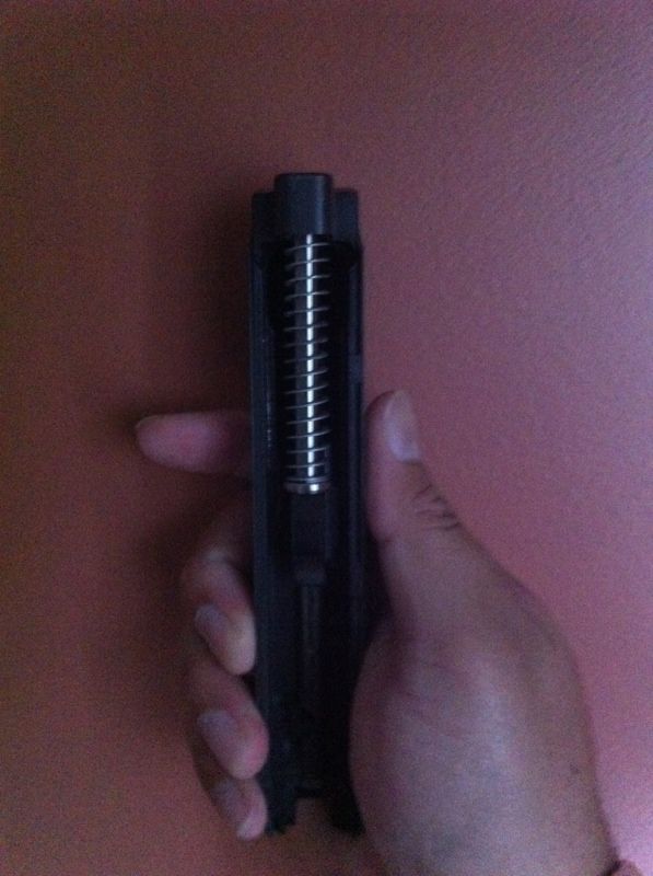 Polymer vs. Stainless Steel Guide Rods SIG Talk