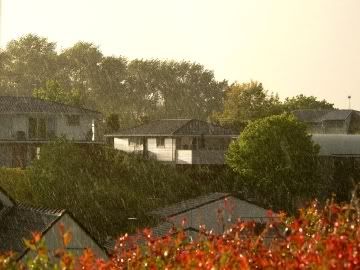 meadowbank_rain1.jpg