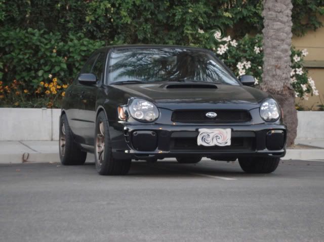 WRX005-1.jpg