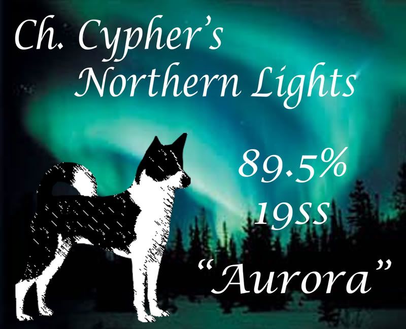 Cyphers Northern Lights