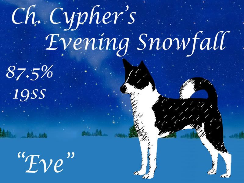Cyphers Evening Snowfall