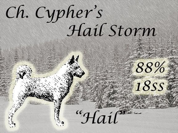Cyphers Hail Storm