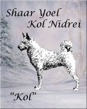 Shaar Yoel Kol Nidrei