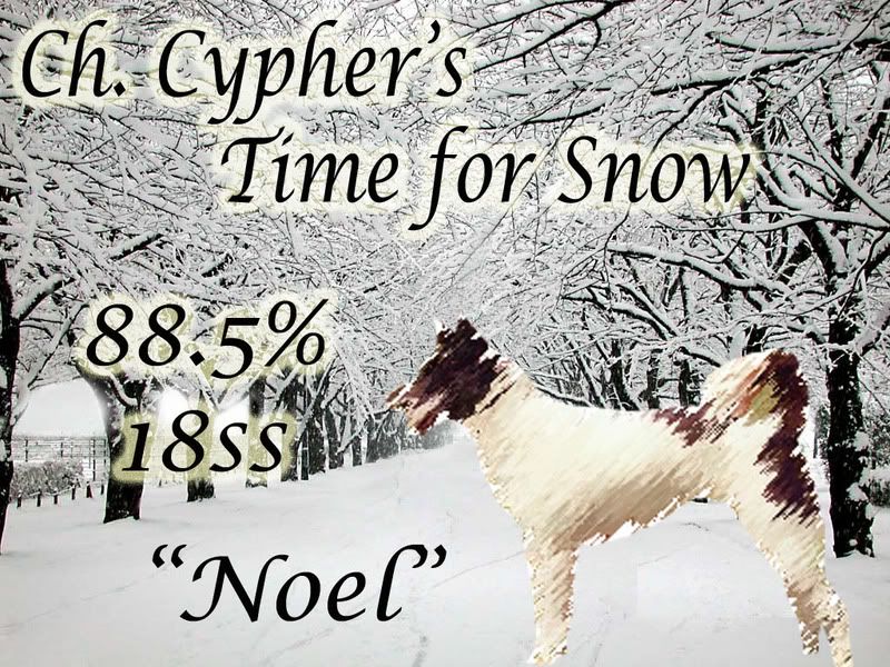 Cyphers Time for Snow