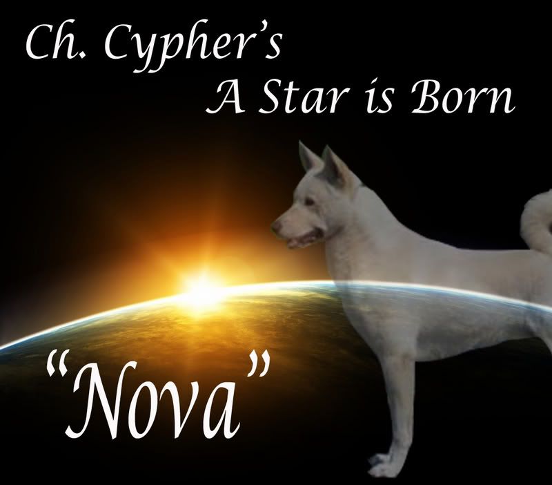 Cyphers A Star is Born