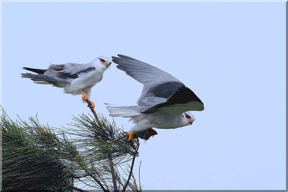 http://i5.photobucket.com/albums/y199/tedwu5/B20/chw0004.jpg