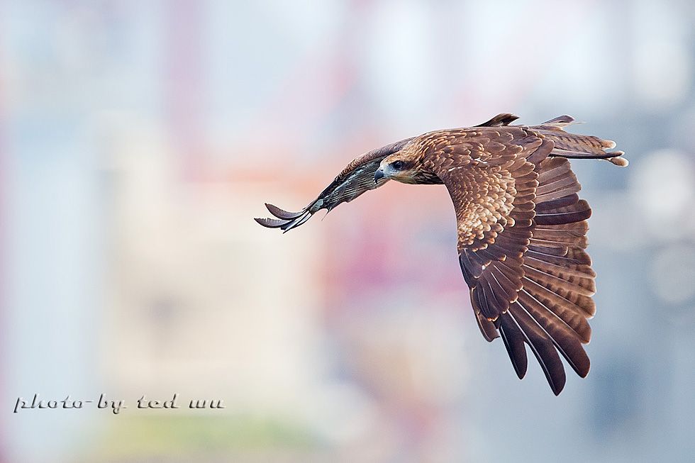 http://i5.photobucket.com/albums/y199/tedwu5/B29/BX5P4629sa.jpg
