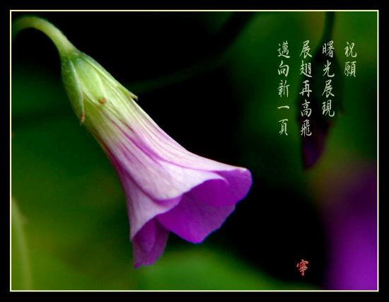 《祝福 .》