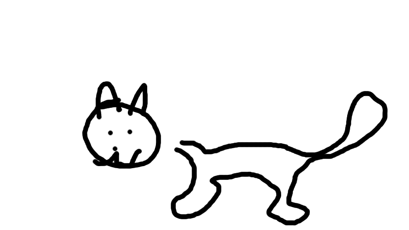 blindcat.png