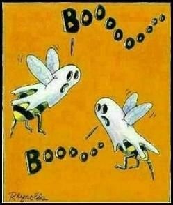 boobees.jpg