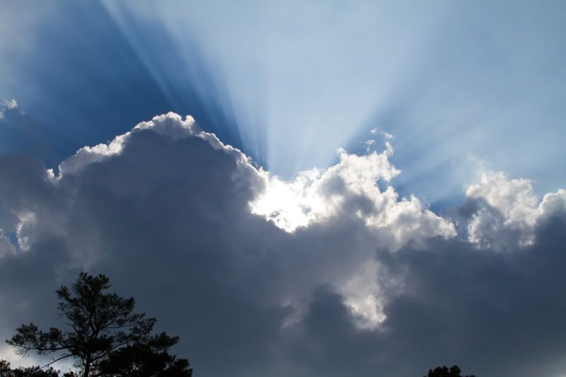 IMAGE: http://i5.photobucket.com/albums/y200/conspiracy123/IMG_1685.jpg