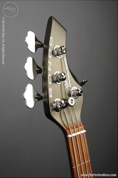 BONGO4HS_Fretless_BE_2.jpg