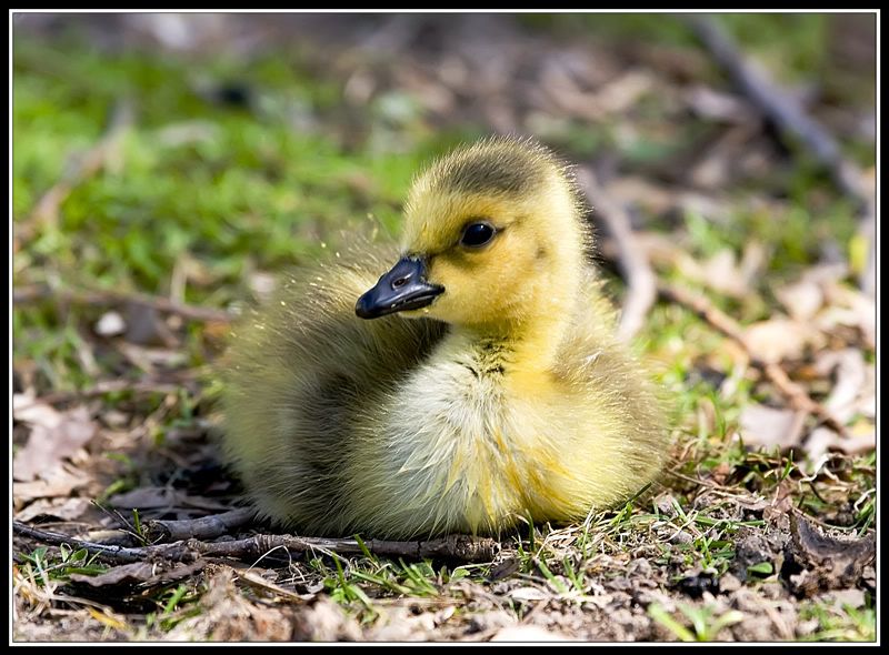 IMAGE: http://i5.photobucket.com/albums/y200/mrclark321/DAN_0917.jpg