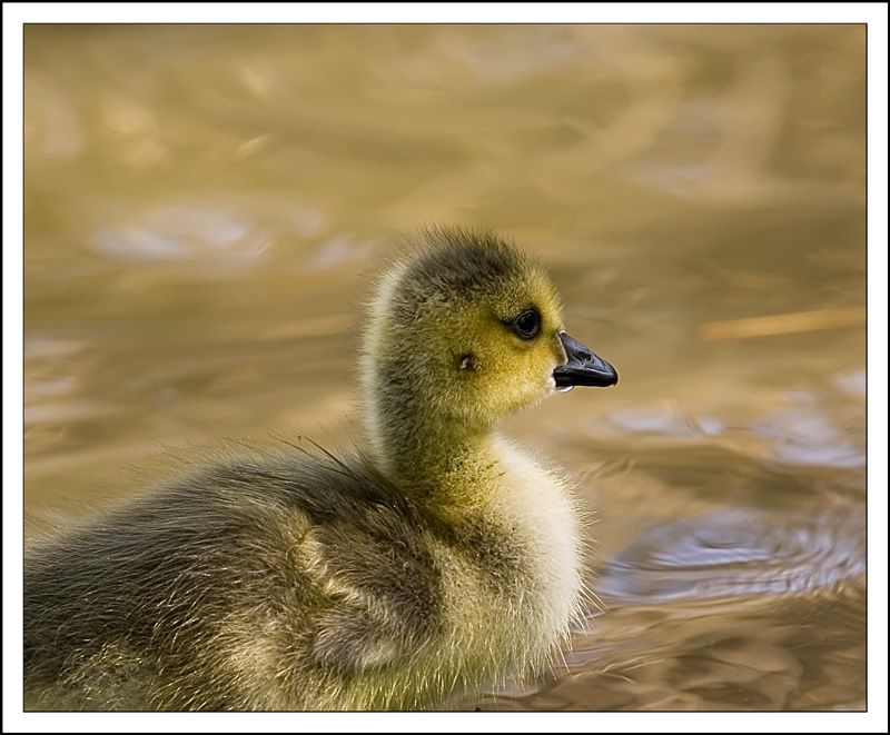 IMAGE: http://i5.photobucket.com/albums/y200/mrclark321/DAN_0922.jpg