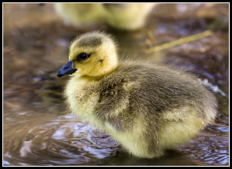 IMAGE: http://i5.photobucket.com/albums/y200/mrclark321/DAN_0929web.jpg