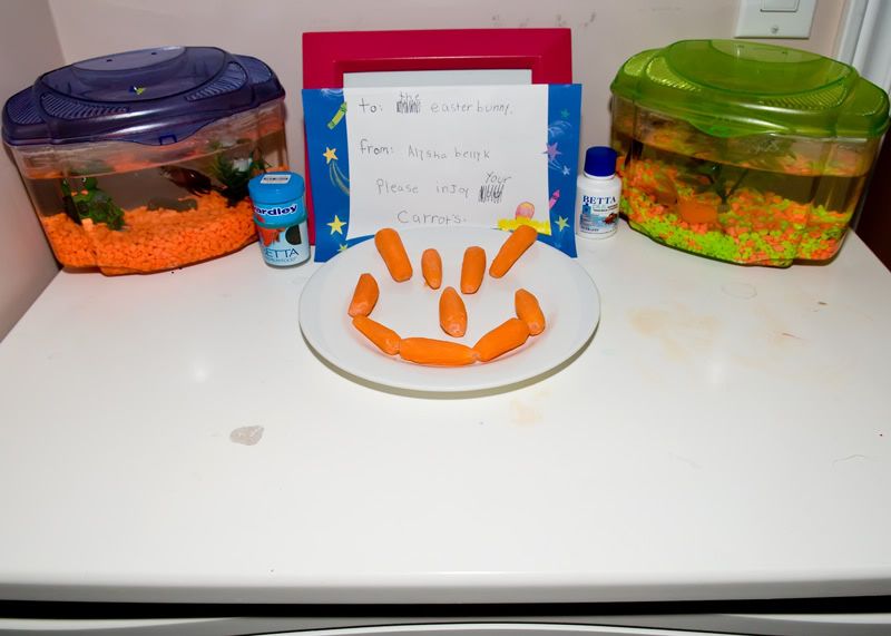 IMAGE: http://i5.photobucket.com/albums/y200/mrclark321/DSC_3133.jpg