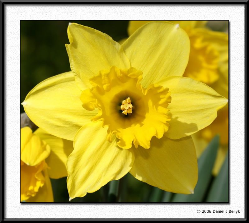 IMAGE: http://i5.photobucket.com/albums/y200/mrclark321/IMG_1096.jpg