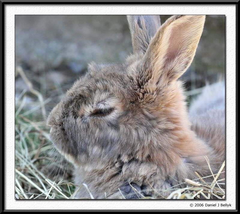 IMAGE: http://i5.photobucket.com/albums/y200/mrclark321/IMG_1330.jpg