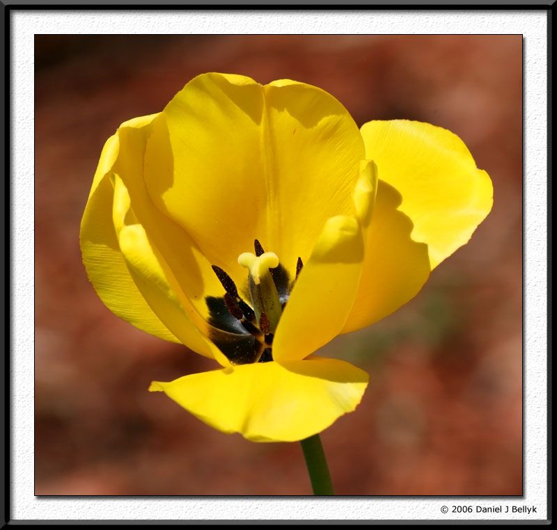 IMAGE: http://i5.photobucket.com/albums/y200/mrclark321/IMG_1578.jpg