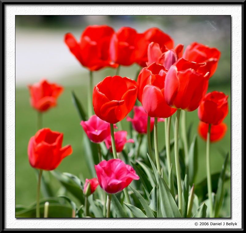 IMAGE: http://i5.photobucket.com/albums/y200/mrclark321/IMG_1598.jpg