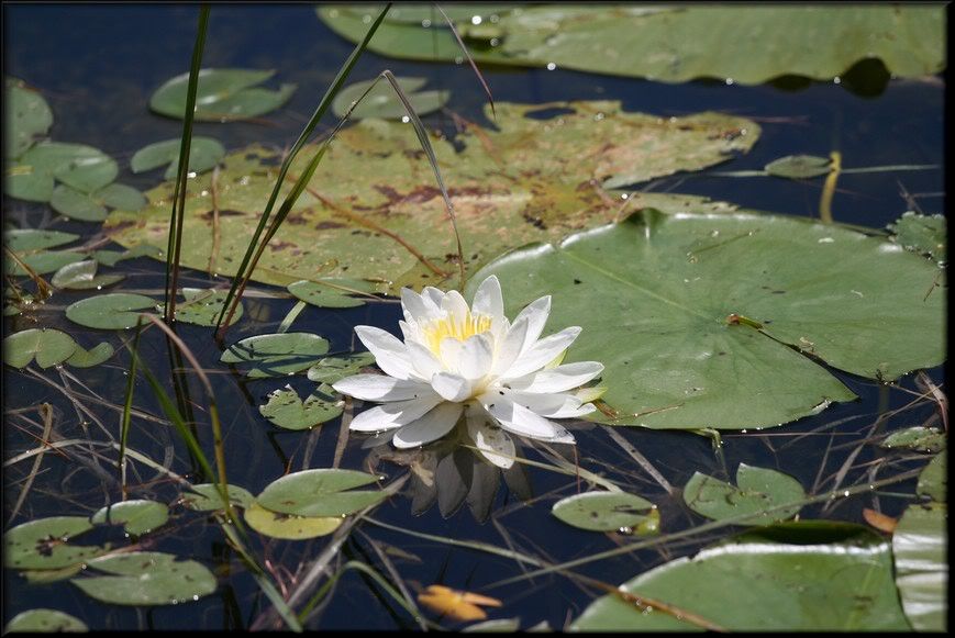 IMAGE: http://i5.photobucket.com/albums/y200/mrclark321/IMG_2019_1_1.jpg