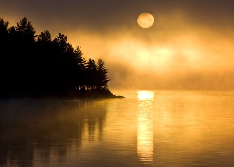 IMAGE: http://i5.photobucket.com/albums/y200/mrclark321/_AN_0608.jpg