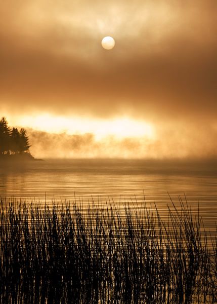 IMAGE: http://i5.photobucket.com/albums/y200/mrclark321/_AN_0629.jpg