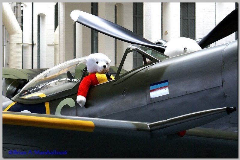 http://i5.photobucket.com/albums/y200/penpusher/IWM%20Duxford%20-%2022%20Dec%2006/36.jpg