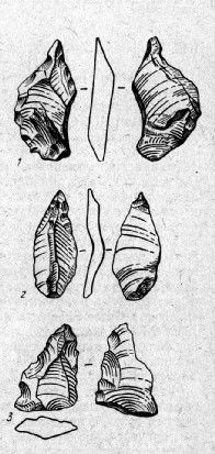 1 - проколка; 2, 3 - остроконечники (из коллекции МАЭ)