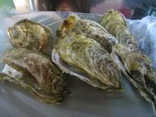 grilled oysters!!! super fresh *slurps*