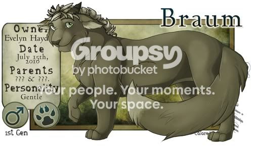 User Image