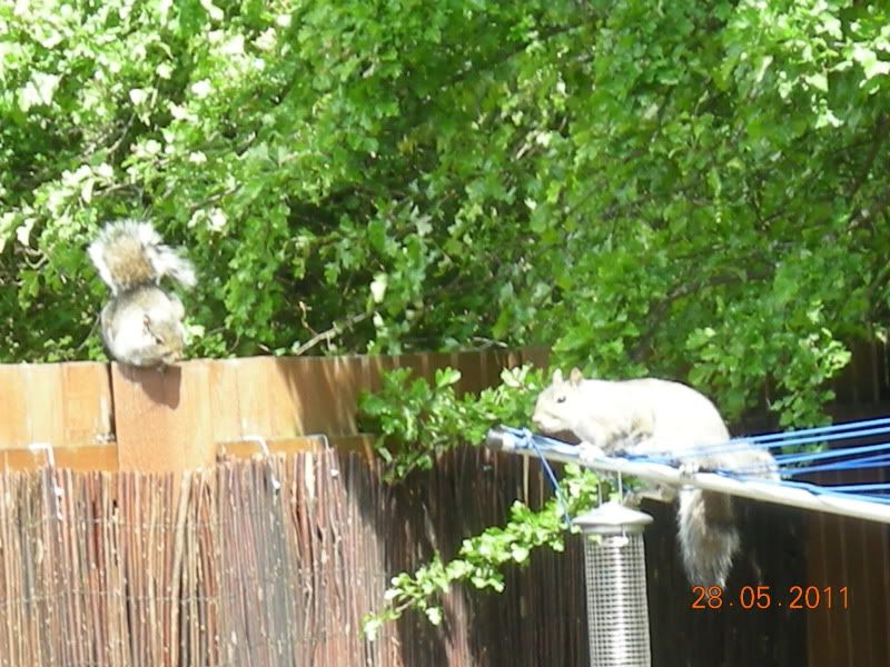DSCN4389.jpg