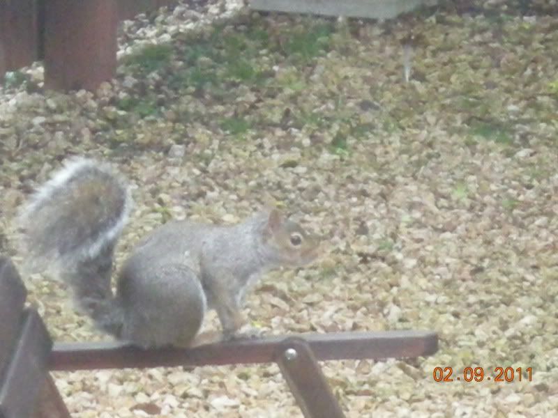 DSCN4620.jpg